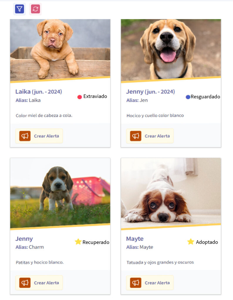 Base de datos de mascotas en adopcion